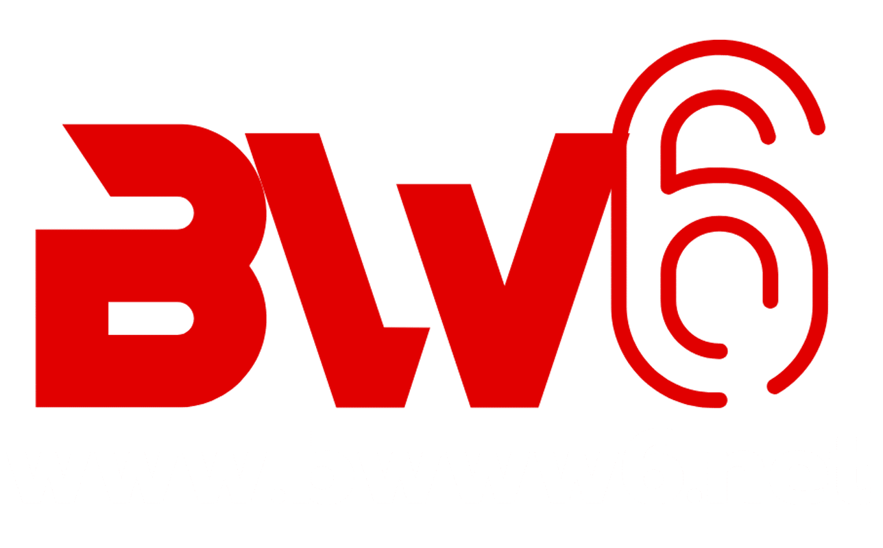 bwww6.net-logo
